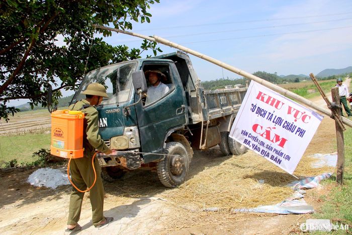 Khi xảy ra ổ dịch tả lợn châu Phi, các địa phương cần lập chốt kiểm soát theo quy định. Ảnh tư liệu: Xuân Hoàng