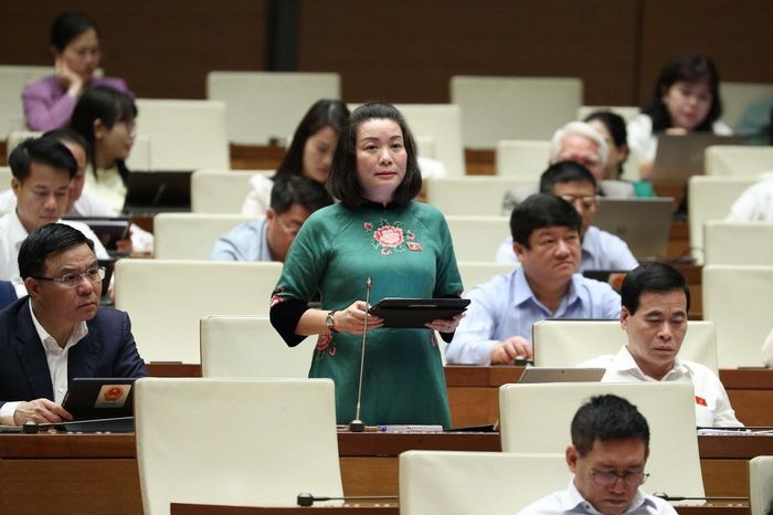 ĐBQH Nguyễn Minh Tâm (đoàn Quảng Bình) phát biểu ý kiến.