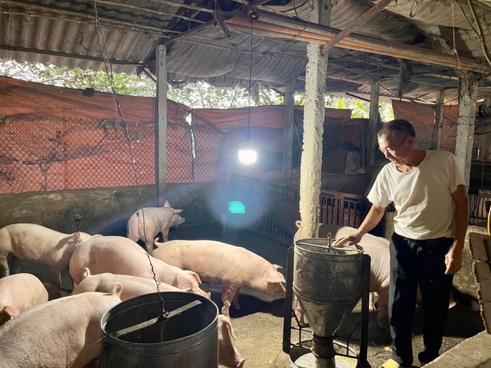Mô hình chăn nuôi gia súc, gia cầm của hộ ông Phan Kính Huyền – khu Hữu Đô 1, xã Hợp Nhất cho hiệu quả kinh tế cao.