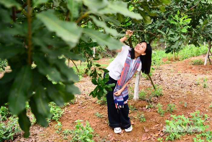 Du khách đến đây không chỉ để tận hưởng không khí trong lành mà còn là dịp để ghi lại những khoảnh khắc giữa thiên nhiên nguyên sơ.
