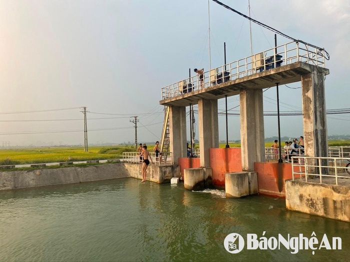Trẻ em nhảy từ độ cao 5 mét tại cống Phúc Tăng thuộc thị trấn Hoa Thành, huyện Yên Thành sau đó chui qua cống ngầm rất nguy hiểm đến tính mạng. Ảnh: Văn Trường