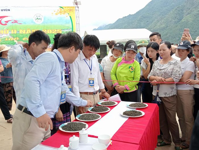 Ban Giám khảo chấm sản phầm chè đã sao khô.