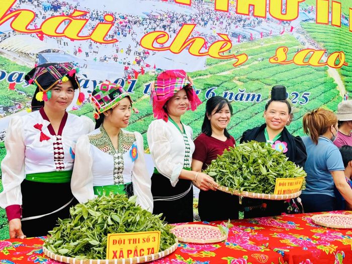 Các đội trưng bày sản phẩm chè búp tươi.