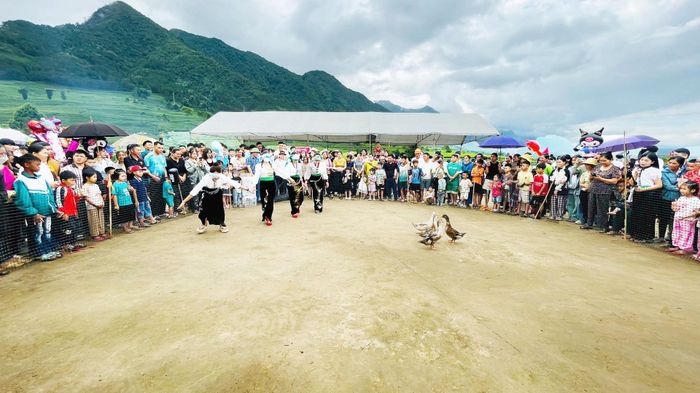 Các đội thi bịt mắt bắt vịt.