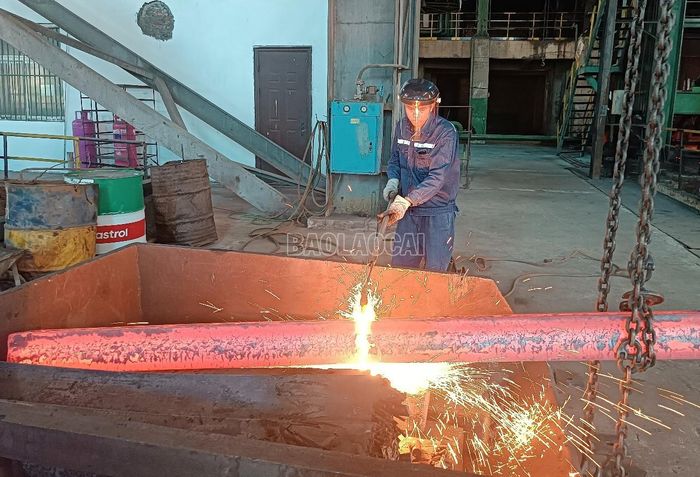  Trong quá trình sản xuất, tại từng vị trí, công nhân được trang bị bảo hộ phù hợp để đảm bảo an toàn. 