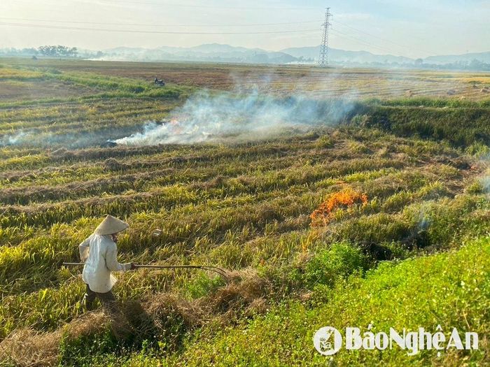 Nông dân đốt rơm ngay trên cánh đồng tại khu vực thị trấn Quán Hành, huyện Nghi Lộc. Ảnh: Văn Trường