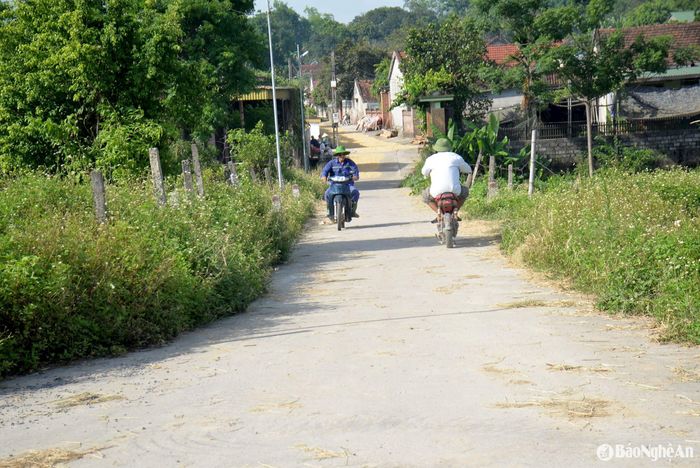 Trục đường chính vào xóm Yên Đông không có chốt kiểm soát dịch, dù bệnh dịch tả lợn châu Phi đang tái bùng phát. Ảnh: Xuân Hoàng