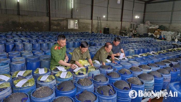 Lực lượng chức năng niêm phong tang vật các thùng chứa giá đỗ ngâm hóa chất. Ảnh tư liệu: Báo Nghê An.