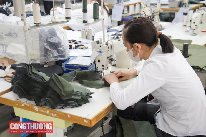 Theo số liệu thống kê, các doanh nghiệp siêu nhỏ, nhỏ và vừa (MSME) chiếm hơn 90% các công ty trên toàn thế giới và đóng vai trò chính trong việc tạo việc làm và thu nhập trong ngành dệt may