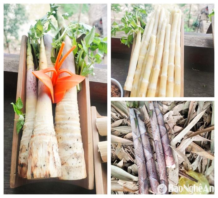 Măng tươi được luộc chín, hút chân không hoặc phơi khô, phục vụ các kênh bán lẻ và khách hàng thành phố, nâng cao giá trị, mở rộng đầu ra cho sản phẩm. Ảnh: T.P