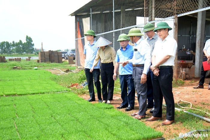 Đoàn tham quan mô hình gieo mạ khay của Hợp tác xã Nông nghiệp Dịch vụ tổng hợp Thọ Thành (Yên Thành). Ảnh: Xuân Hoàng