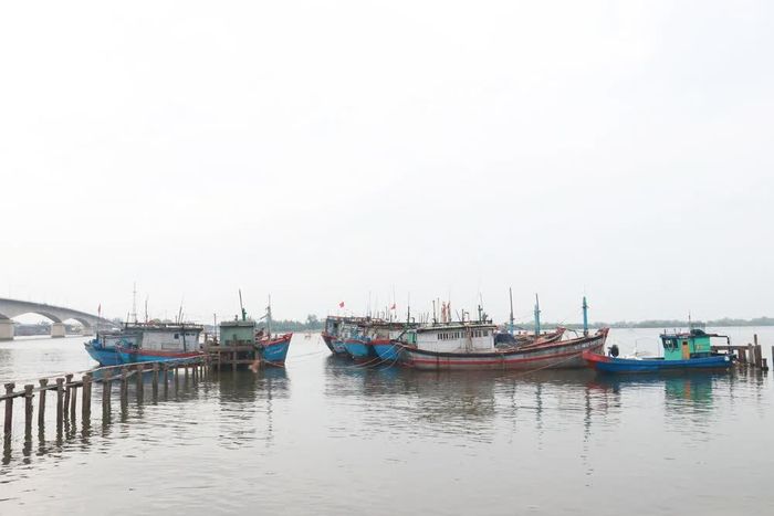 Tàu cá vào neo đậu tại vùng nước hạ nguồn sông Thạch Hãn, tỉnh Quảng Trị để tránh trú bão số 1. Ảnh: Nguyên Lý-TTXVN
