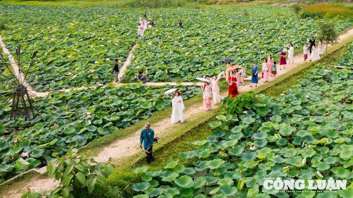 Sức hấp dẫn của đầm sen níu giữ chân du khách.
