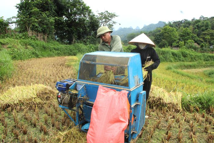 Giữa đồng vàng chín rộ, tiếng máy tuốt lúa vang lên hòa cùng tiếng nói cười, tạo nên nhịp điệu lao động rộn ràng mùa gặt.