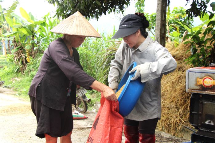Từ đồng ruộng về nhà, những hạt thóc vàng óng được thu gom, đóng bao chuẩn bị cho vụ mùa mới.