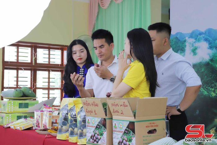 VNPost phối hợp cùng với các nhà sáng tạo nội dung số livestream Chợ phiên OCOP Sơn La tại nhà văn hóa xã Phiêng Khoài, huyện Yên Châu.