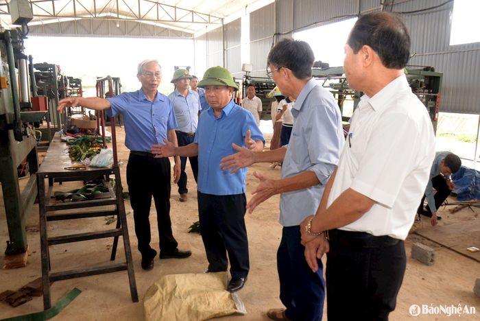 Phó Chủ tịch UBND tỉnh Nguyễn Văn Đệ kiểm tra tình hình hoạt động của Hợp tác xã Lâm nghiệp - Tổng hợp Quỳnh Thắng. Ảnh: Xuân Hoàng