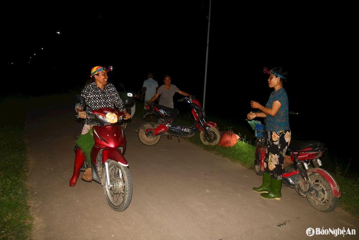 Sau buổi nhổ mạ, bà con dùng xe máy, xe đạp điện chở mạ về nhà. Người đi cấy đêm sẽ chở mạ ra đồng tiếp tục cấy lúa. Ảnh: Huy Thư