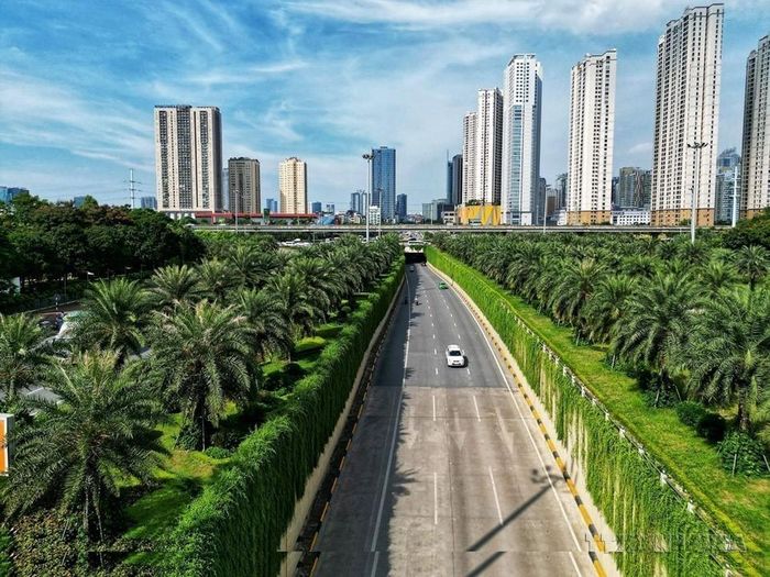 Trong giai đoạn 2021 - 2025, thành phố Hà Nội đang nỗ lực trồng cây xanh nhằm cải thiện môi trường, vừa giúp giảm khói bụi, tiếng ồn, vừa nâng cao mỹ quan đô thị. Ảnh: Tuấn Anh/ TTXVN