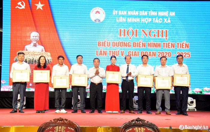 Dịp này, BCH Liên minh HTX Việt nam tặng Bằng khen cho 10 tập thể, 10 cá nhân có thành tích xuất sắc trong năm 2024. Ảnh: Xuân Hoàng