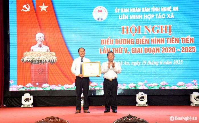 Dịp này UBND tỉnh tặng Bằng khen cho BCH Liên minh HTX tỉnh. Ảnh: Xuân Hoàng