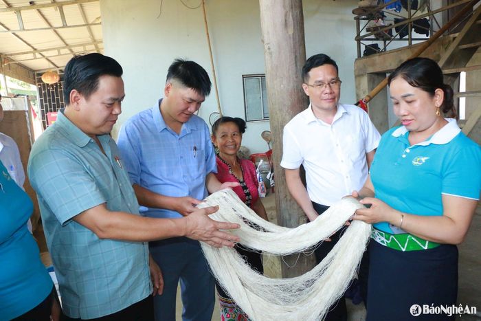 Cán bộ Ban Tuyên giáo - Dân vận Huyện ủy Quế Phong và lãnh đạo xã Cắm Muộn kiểm tra tơ thô. Ảnh: KL