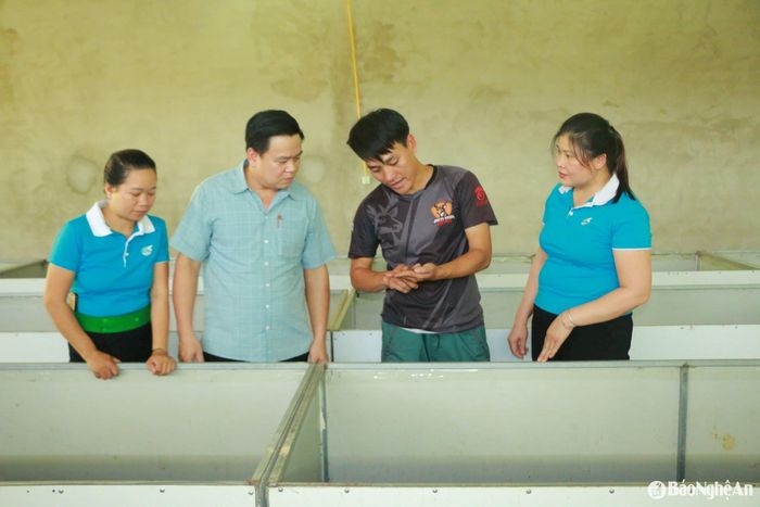 Không chỉ làm kinh tế giỏi, anh Phạm Công Văn còn là người truyền cảm hứng. Mỗi tuần đều có người dân trong xã đến xin giống, học kỹ thuật. Anh Văn chia sẻ: “Mình là người làm thử, thấy được thì chia sẻ, ai có nhu cầu mình hỗ trợ hết sức. Dế dễ nuôi hơn gà, lợn, lại quay vòng nhanh, vốn ít mà hiệu quả cao”. Ảnh: T.P