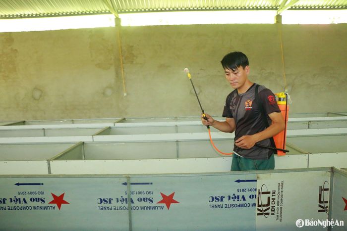 "Dế không uống nước như gà, vịt mà phải phun sương đều, giữ ẩm đủ mà không gây úng", anh Văn chia sẻ bí quyết. Ảnh: T.P