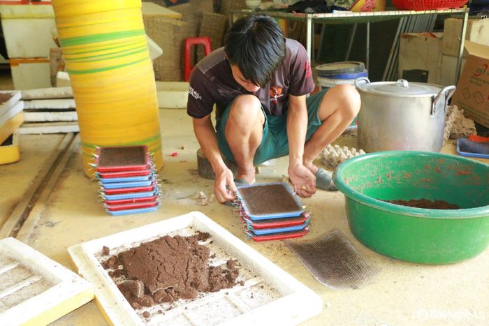Từ xơ dừa, cát, lưới và kinh nghiệm quan sát, người nuôi tạo ra những "ổ trứng" lý tưởng – khâu quyết định của nhân giống. Ảnh: T.P