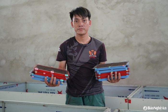 Trứng nhỏ như hạt gạo, mỗi khay thu hàng nghìn trứng mang theo cả kỳ vọng sinh kế của một hộ dân vùng cao. Ảnh: K.L
