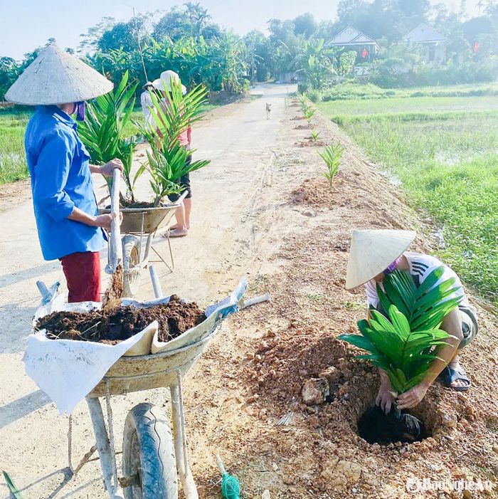 Người dân xóm Liên Trường (xã Thanh Liên, huyện Thanh Chương) trồng cây xanh. Ảnh: Mai Hoa