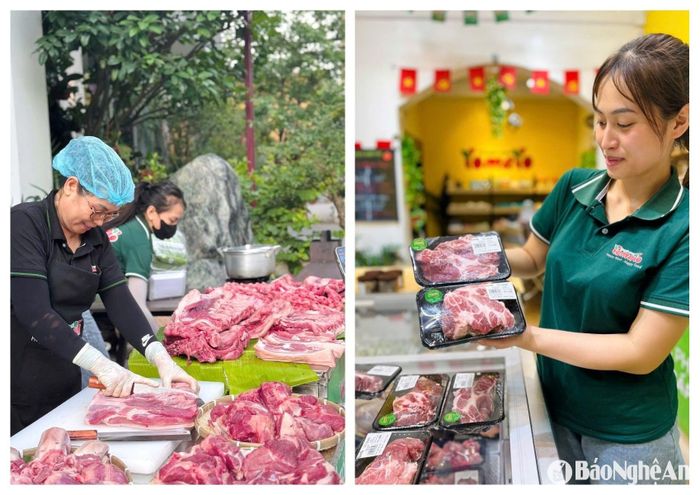 Giá thịt lợn tăng do nhiều lý do, trong đó, tác động dịch bệnh dịch tả lợn châu Phi tái bùng phát, nguồn cung thị trường khan hiếm và chi phí chăn nuôi gia tăng. Ảnh: T.P