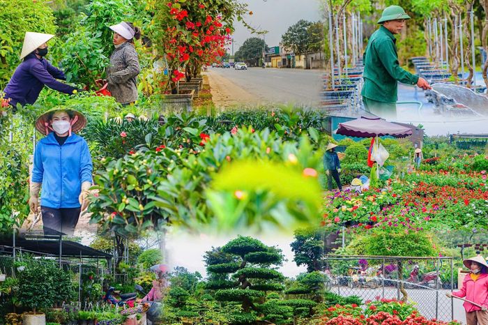 Người dân Nghi Ân chăm sóc cây cảnh