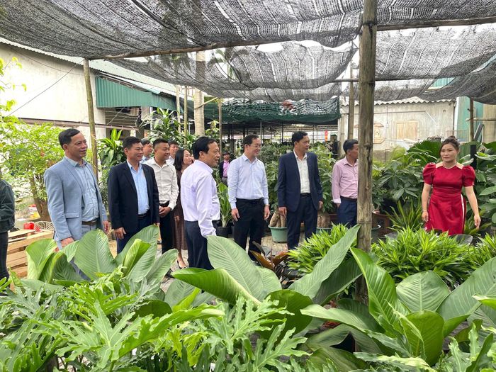Lãnh đạo Hội Nông dân tỉnh thăm làng hoa cây cảnh Nghi Ân