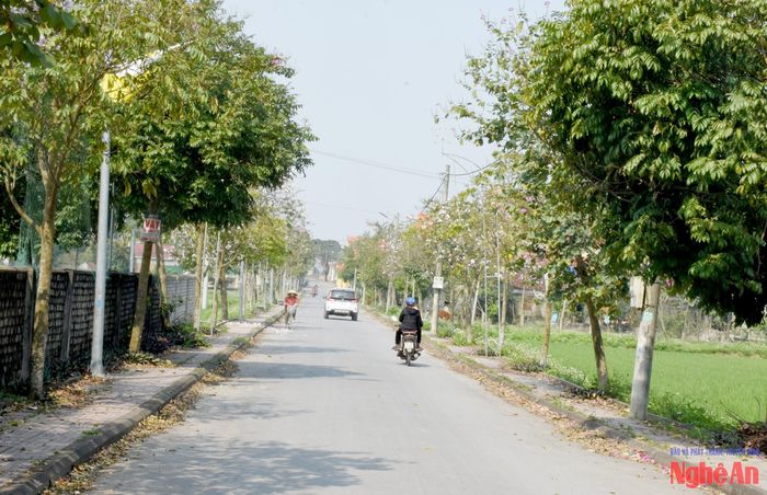 Đường về giáo xứ Bến Đén, xã Đức Châu. Ảnh: Công Kiên