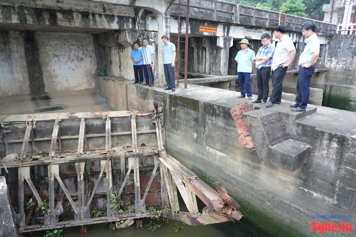 Lãnh đạo UBND tỉnh và các sở, ngành liên quan kiểm tra khu vực cửa cung bị hư hỏng. Ảnh: Tiến Đông