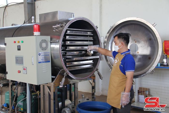 Chế biến cà phê hòa tan sấy thăng hoa túi giấy của Hợp tác xã Cà phê Bích Thao.