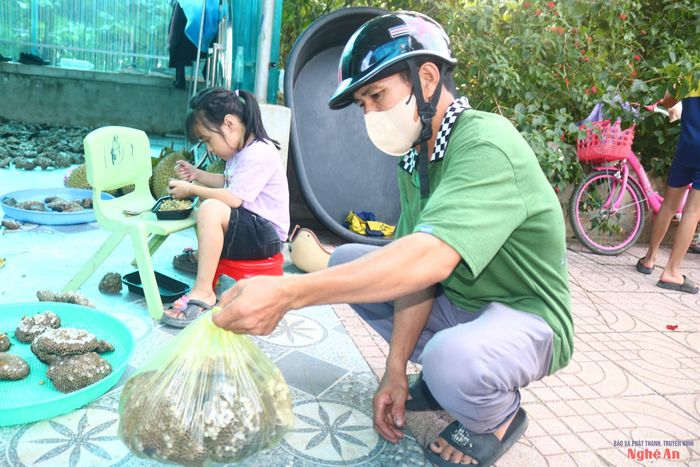 Một người đàn ông ở xã Hạnh Lâm (xã được hình thành trên cơ sở sáp nhập xã Thanh Đức và xã Hạnh Lâm của huyện Thanh Chương cũ) mang tổ ong đi bán cho biết: Hiện đang đầu mùa ong vang, tổ ong còn nhỏ và ít. Trung bình mỗi ngày lên rừng cũng kiếm được khoảng 2- 3 kg tổ ong/người. Ngay sau khi xuống núi, người dân mang tổ ong đến các cơ sở thu mua tại địa phương để bán. Ảnh: Huy Thư