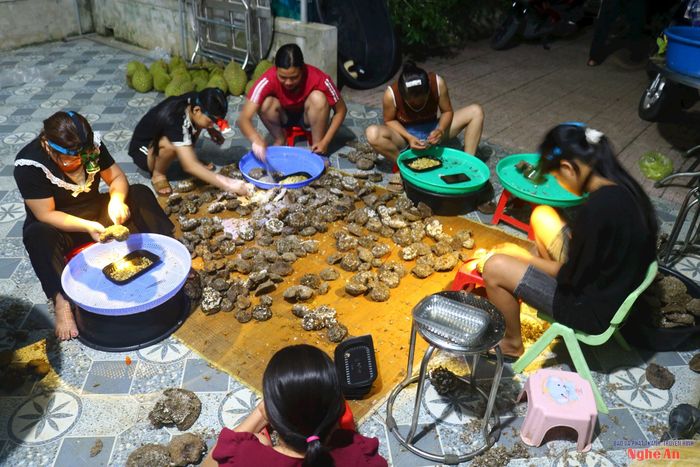 Chị Hoàng Thị Thắm, chủ cơ sở thu mua tổ ong ở xã Hạnh Lâm cho biết: Tổ ong sau khi mua được bóc tách nhộng và vỏ để bán riêng. Mỗi ngày nhà chị phải thuê 7 - 10 lao động trong xóm đến bóc tách nhộng ong. Ảnh: Huy Thư
