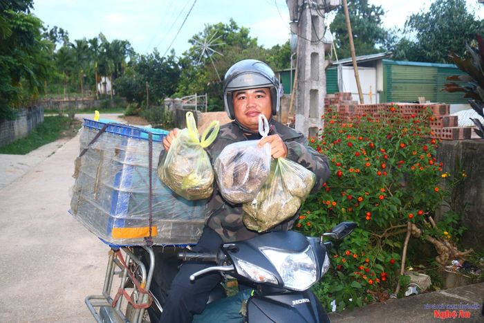 Săn ong giữa những ngày hè nắng nóng khá vất vả. Thợ săn ong phải lùng khắp các đồi trọc, có khi băng đèo, vượt suối, đi bộ hàng chục km để tìm tổ ong. Đang trong thời điểm sốt tổ ong, ngoài đội ngũ săn ong chuyên nghiệp, bà con đi rừng, chặt cây, làm cỏ chè... cũng tích cực tìm kiếm tổ ong vang để kiếm thêm thu nhập. Ảnh: Huy Thư