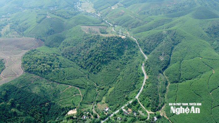 Dốc Bù Bài nằm vắt qua dãy núi Bù Bài (người dân địa phương gọi là Pu Pai), dù con dốc này không cao nhưng dài và nhỏ hẹp, rất nhiều những khúc cua ngắn khiến việc lưu thông qua đây gặp nhiều khó khăn. Ảnh: Tiến Đông