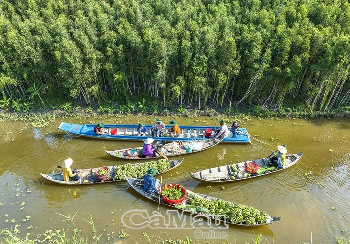 Du lịch mùa nước nổi tại Điểm du lịch sinh thái Mười Ngọt.