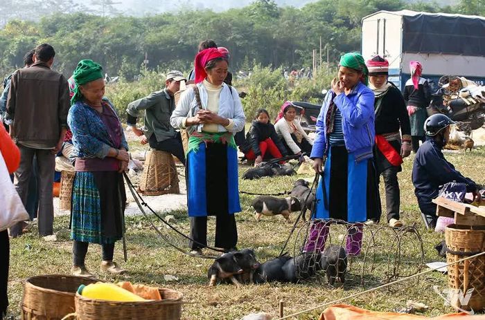 Sự mộc mạc, giản dị của người bán - mua ở chợ phiên.