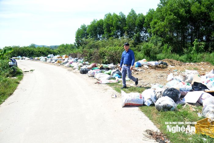 Ông Lê Văn Tý - Phó Chủ tịch UBND xã Hoa Quân nắm tình hình xác lợn vứt tại điểm tập kết rác trên địa bàn xã để kịp thời xử lý. Ảnh: Xuân Hoàng