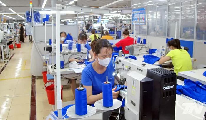 May mặc là một trong nhiều lĩnh vực giữ đà tăng trưởng tốt.