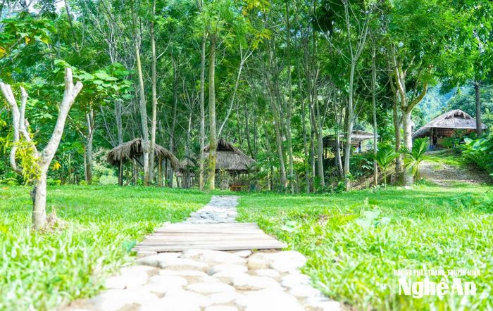 Với khí hậu quanh năm mát mẻ, trong lành, không chỉ là nơi lý tưởng để “trốn nắng” mỗi độ hè về, bản Vều còn mang đến cho du khách những trải nghiệm du lịch cộng đồng đậm bản sắc. Trong ảnh là lối đi trong khu du lịch cộng đồng xanh mát ở bản Vều. Ảnh: Minh Quân