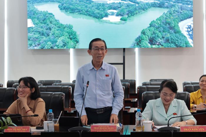 Đại biểu Quốc hội Trần Hoàng Ngân phát biểu ý kiến tại hội nghị