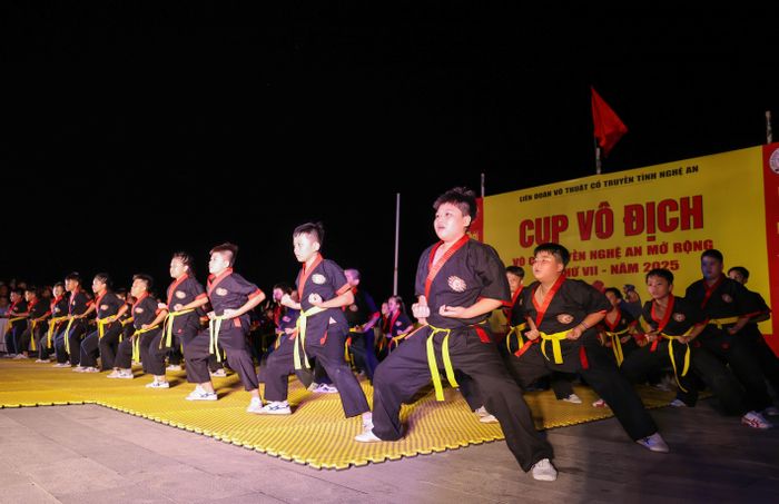 Màn biểu diễn võ thuật. Ảnh: Đức Anh