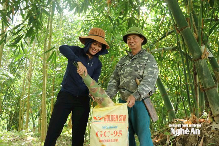 Những ngày cao điểm, khi đơn hàng lên tới cả tạ măng mỗi ngày, ông Thắng phải thuê thêm người để kịp khai thác cung ứng cho thị trường. Ảnh: Thanh Phúc