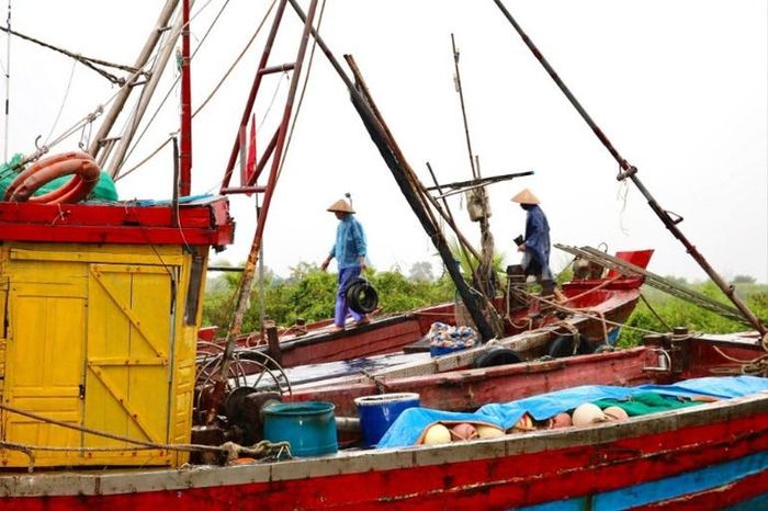  Ngư dân chằng chống, gia cố tàu thuyền để ứng phó với bão số 3. 